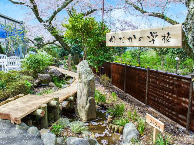 メダカの小川もあります。「そ〜っと のぞいてみてごらん」