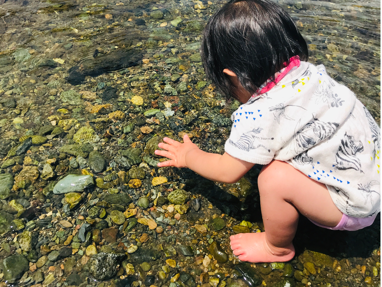 ���𗬂�鐴���͓����x�������A��V�тɍœK�ł��B�󐣂������̂ŏ����Ȃ��q�l�ł����S�I