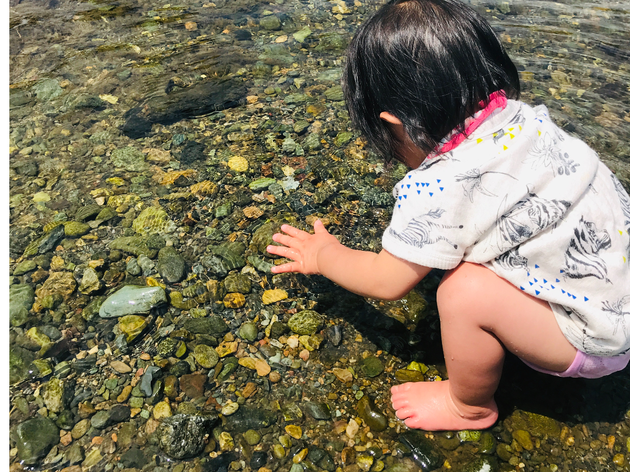 透明度の高い清流で川遊びが楽しめます!