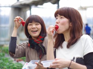 【★2/1〜2/28★】甲府盆地の真ん中で美味しい土耕栽培で40分間いちご狩り♪♪