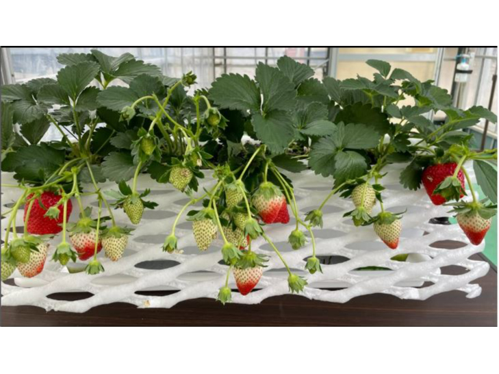 Ƃł̃v^[͔|łyɂy݂܂