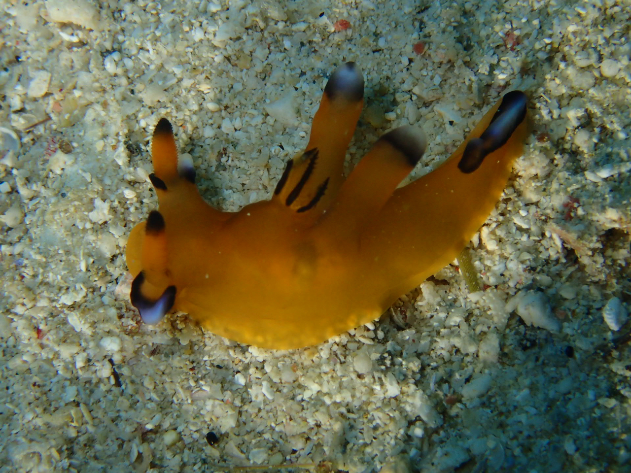 EftcmUE~EV ʏ(sJ`EE~EVj