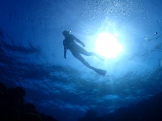 ボートに乗りポイントへ