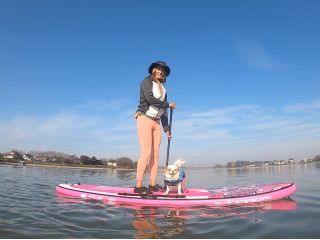 愛犬と一緒にSUPでの体験を共有できるドッグアクティビティ『ドッグサップ』