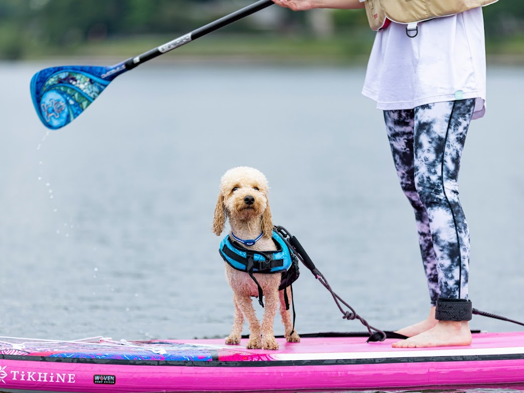 p̃CtWPbgLxɏĂ܂̂ňSɊy߂܂I