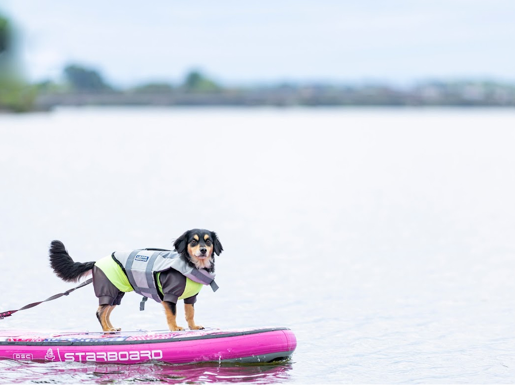 SUPに乗ると、いつもとは違った新しい表情を見せてくれるかも?!