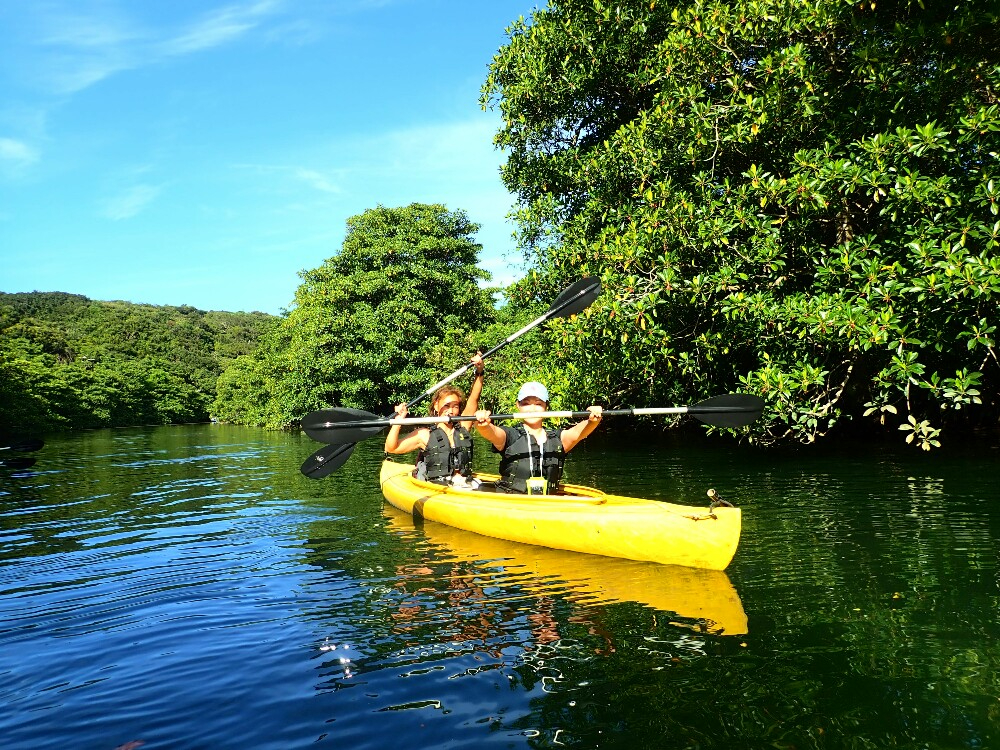 lCNO1̃siCT[ꁕ}O[uJbN