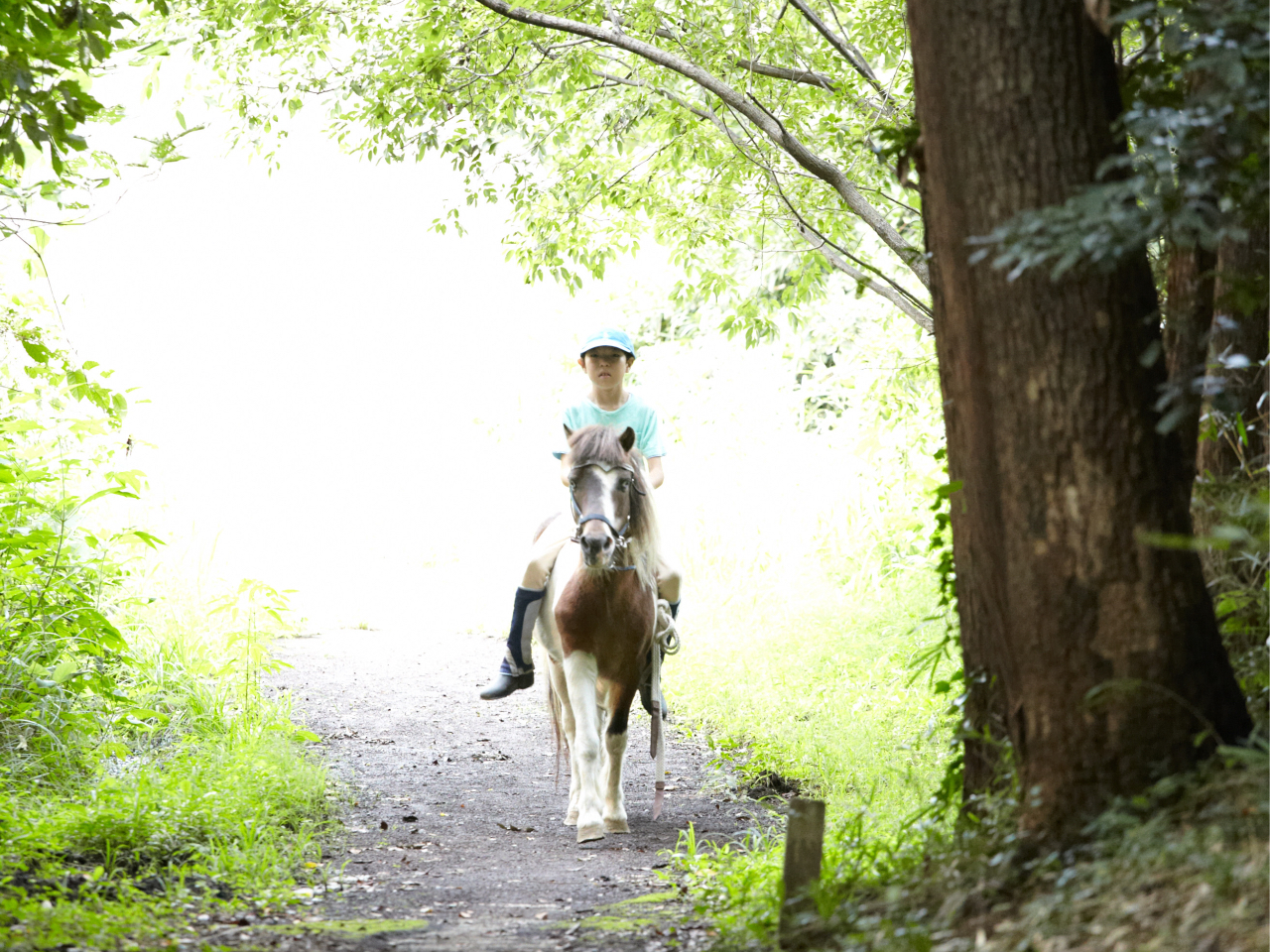 【千葉/御宿】外乗コースオープン!! 乗馬経験者対象 外乗プラン開催