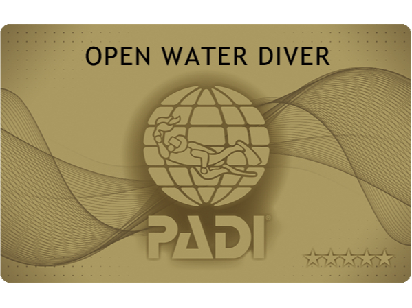 PADI 5X^[E_CuZ^[@PADI S[hJ[hECJ[hsX