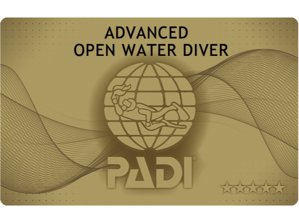 @@@@@@@@@PADI TX^[_CuZ^[ł@@@@@@@@@@@@@@@@@@FɔsCJ[h̓S[hJ[hłI