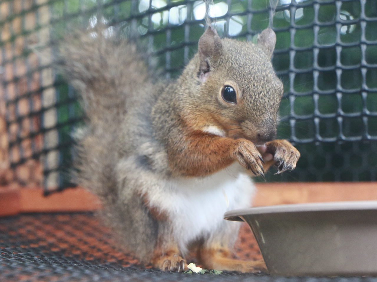 قɃXIHɕ炷̂WĂ܂B