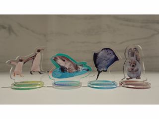 全10種!仙台うみの杜水族館オリジナルアクリルスタンド!
