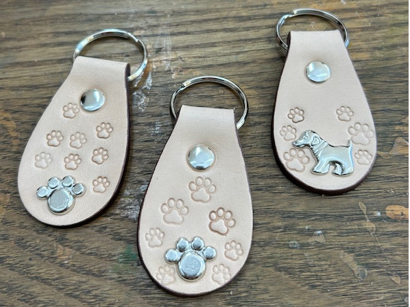 B:L[z_[   ȄJVtA̍łō܂B