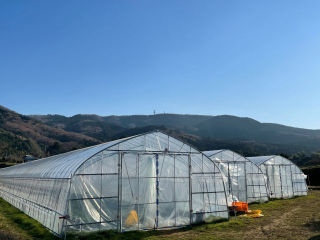 茨城県石岡市に新規オープン致しました「朝日里山農場 いちご屋あんちゃん」です♪皆様よろしくお願いいたします!