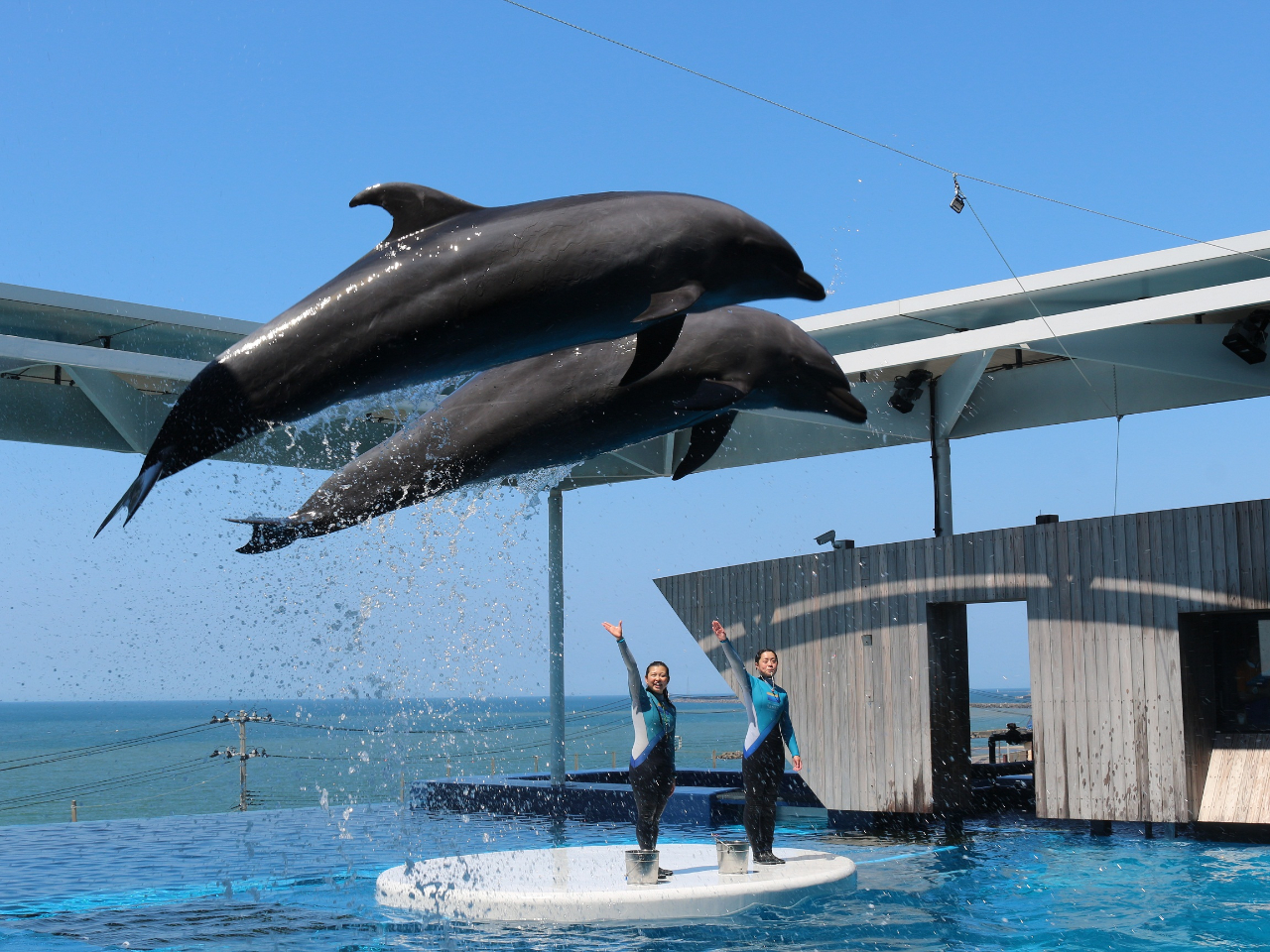 上越市立水族博物館 うみがたり 予約 アクセス 割引クーポン じゃらんnet 上越市立水族博物館 うみがたり 予約 アクセス 割引クーポン じゃらんnet