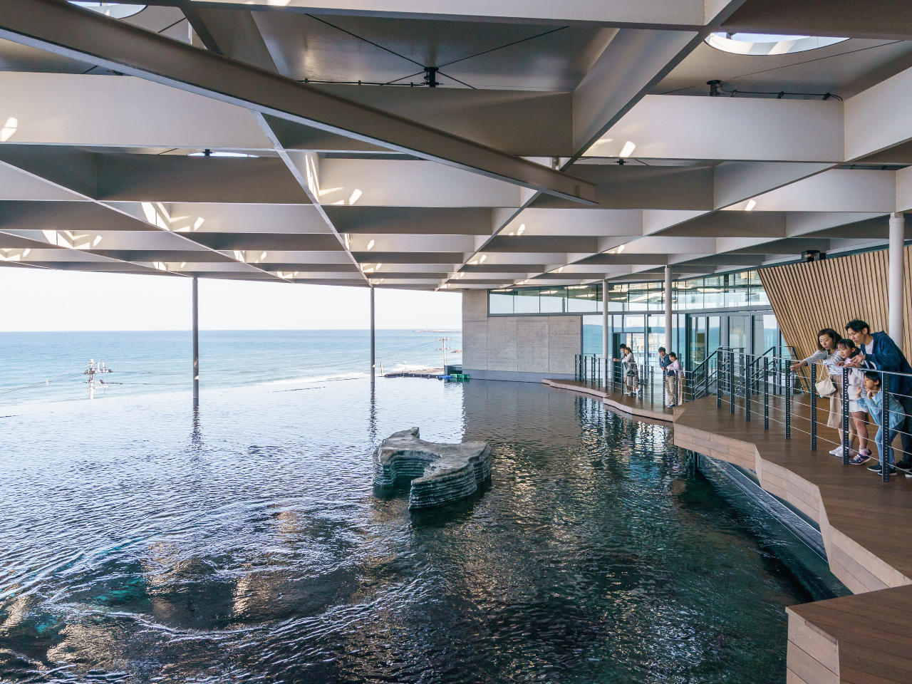 {CeXiRFj吅Ɠ{C̐ʂ̂ƂȂJꂽԁB{C̔g╗Aʂɔ˂žȂAYȓ{CƗ[₯]