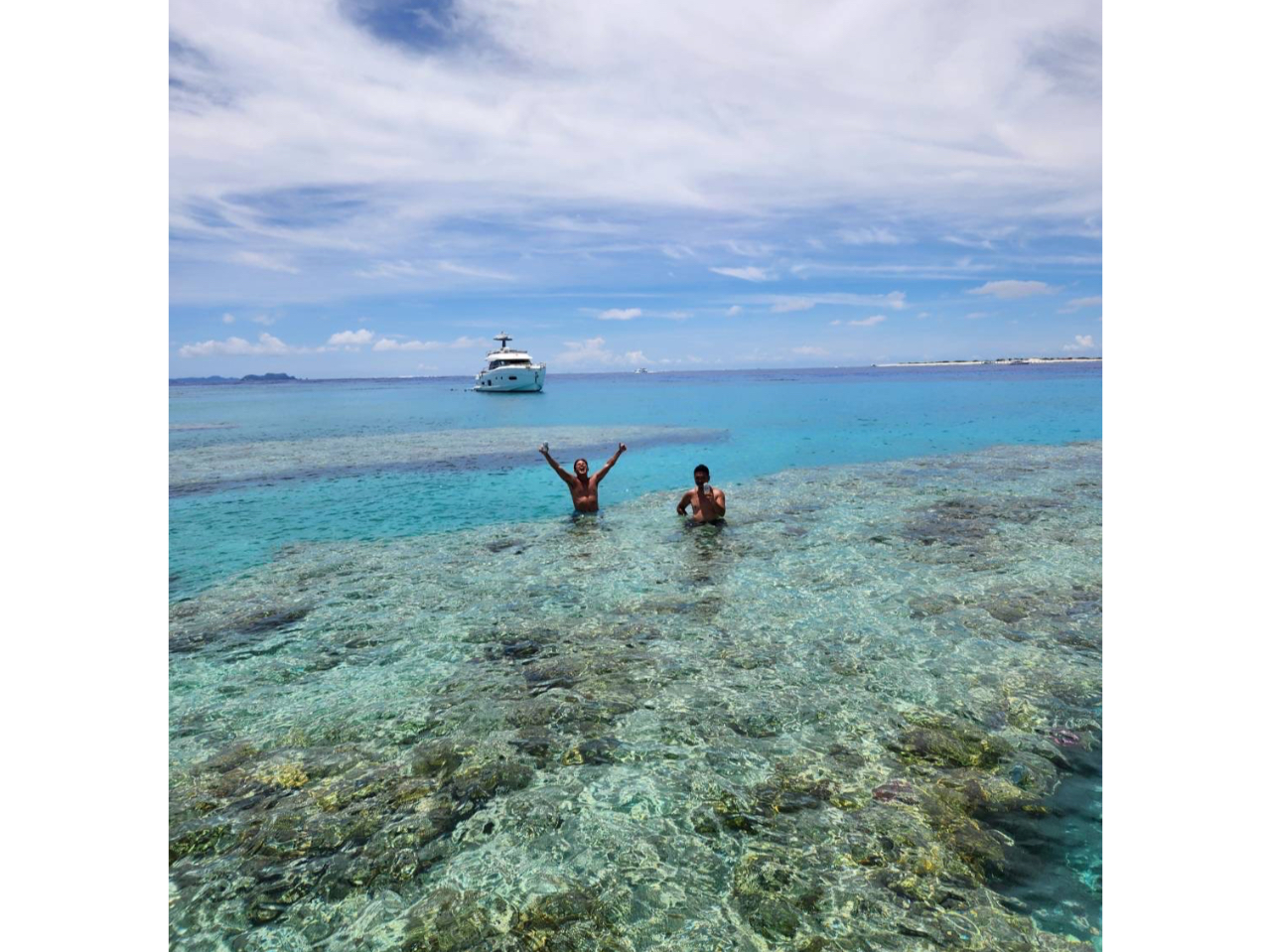 海の上で優雅に水分補給