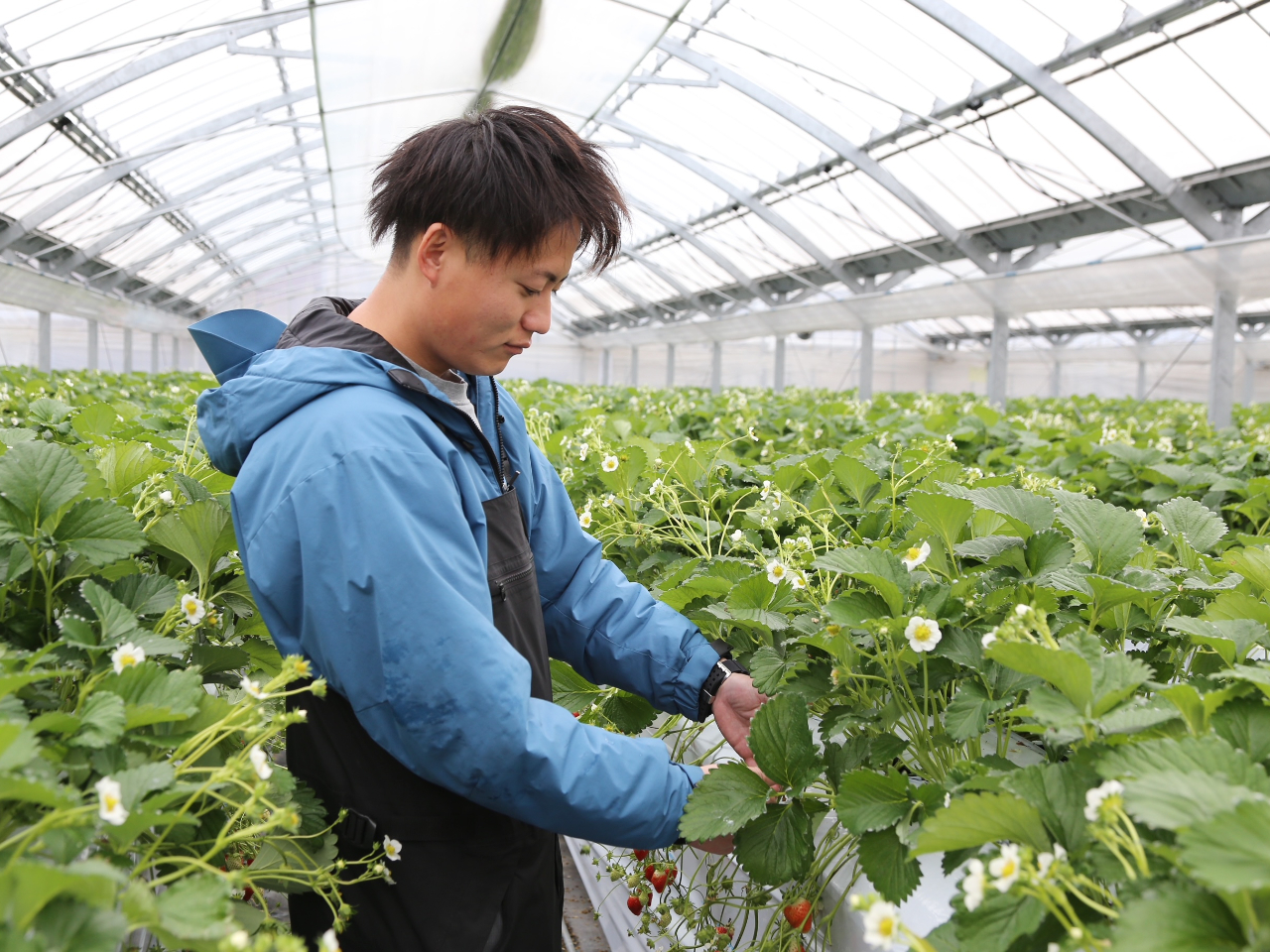 減農薬栽培にこだわってます!