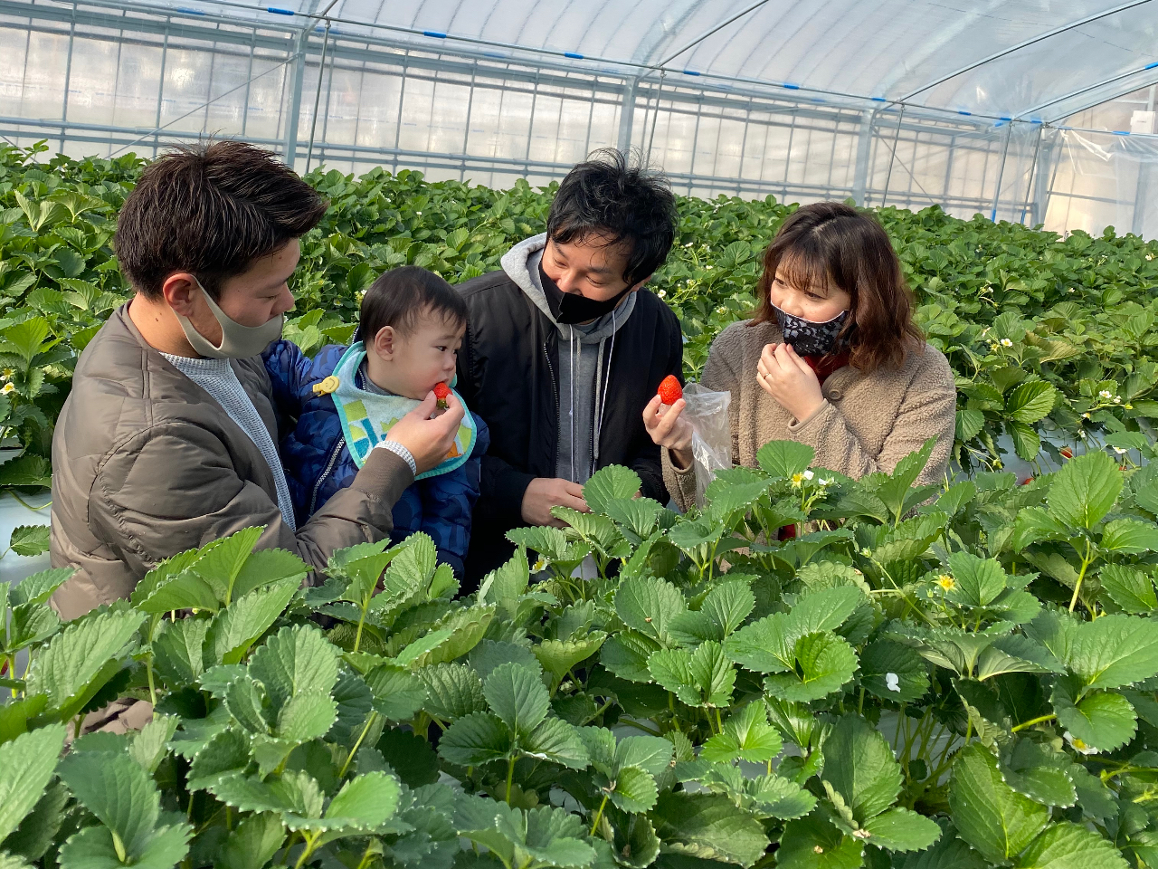 いちご狩りはゆったり60分!大切な方と大切な思い出を★