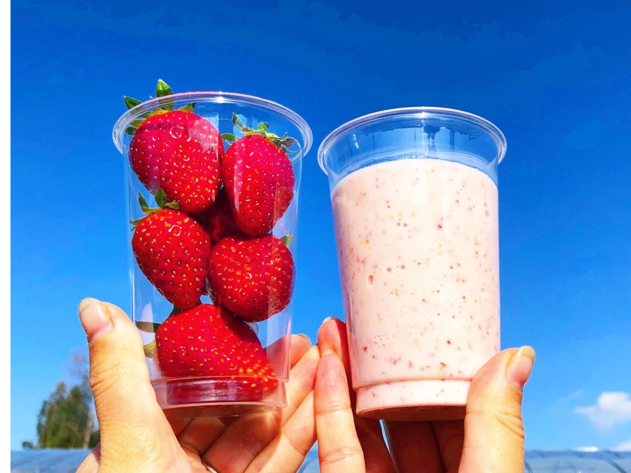 たっぷりイチゴを使ったスムージもあるのでぜひ飲んでくださいね！！