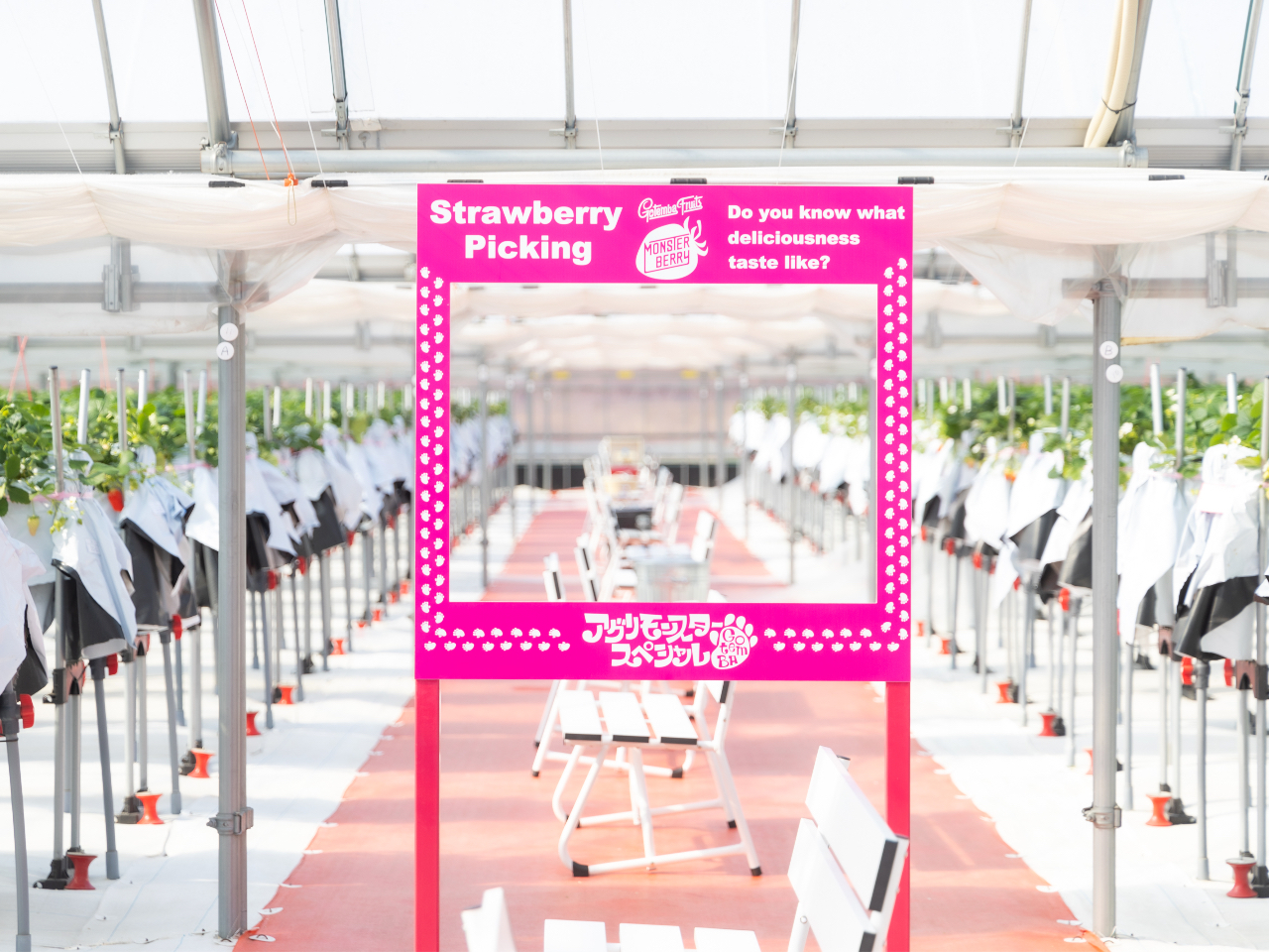 バックに富士山とピンク色の看板が目印です。