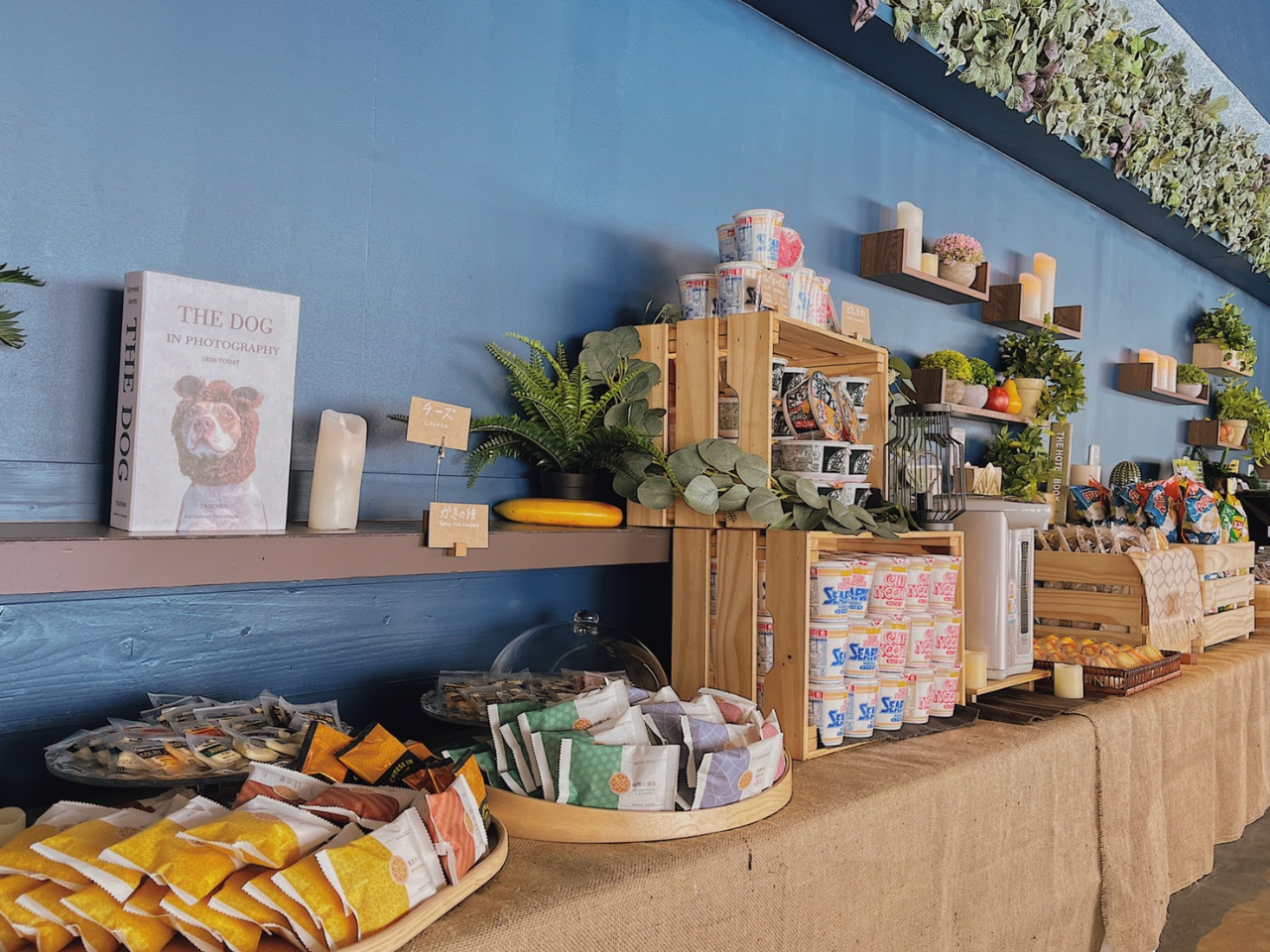 ���E���W�������H���i�����ł��j