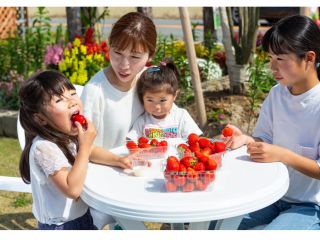 2021年オープン!いちご狩り♪多品種栽培中!