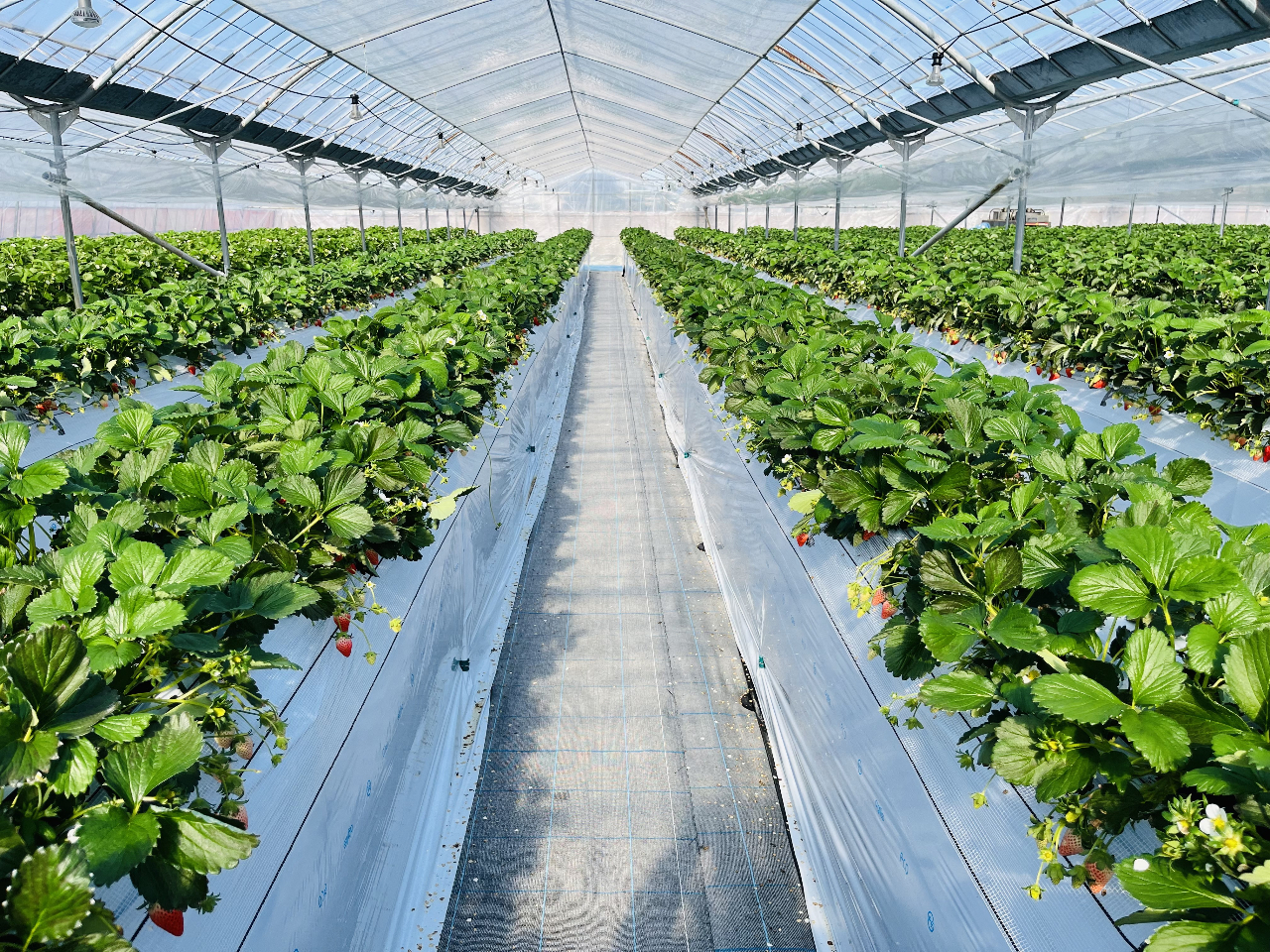 2022N荂ݍ͔|ɐ؂ւAnEX݂܂B葽̂qlɂy݂܂