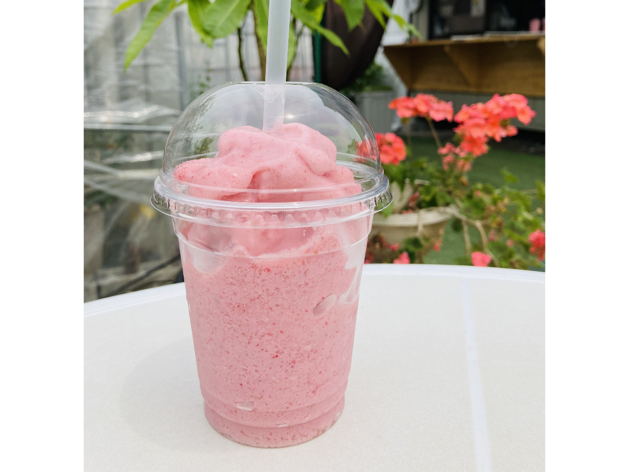 NԂʂđlCIZȂX[W[̔ł