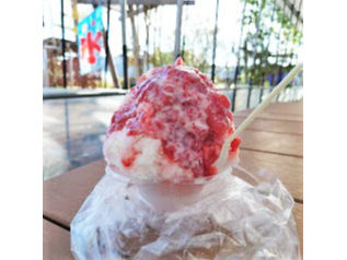 XX[W[Ȃǂ̃XC[c̔Ă܂