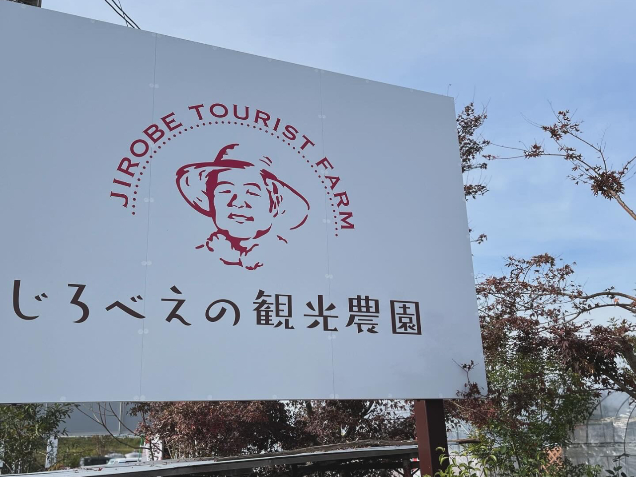 Fys_Ђ΁Iׂ̊ŔڈłB