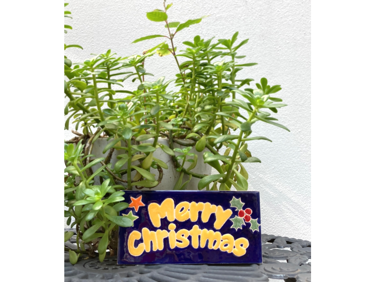 G߂̕ďĂ܂B㋉҃R[X