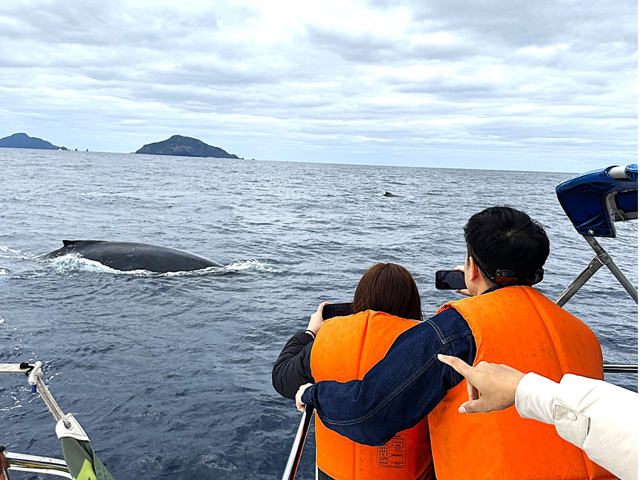 ���₷��2�K�ȂŁA�ӂ���̊����̌�