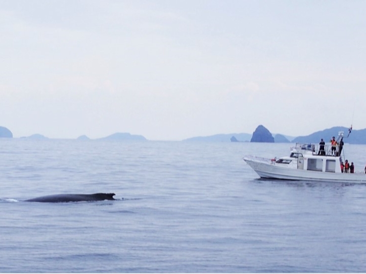 Ȑ̓W]䂩X^btNWTAĂo`̂ő͂ق100II