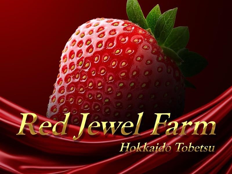 【北海道・当別町×いちご狩り】\冬でも体験◎水・土・日開催♪/“赤い宝石”いちご...