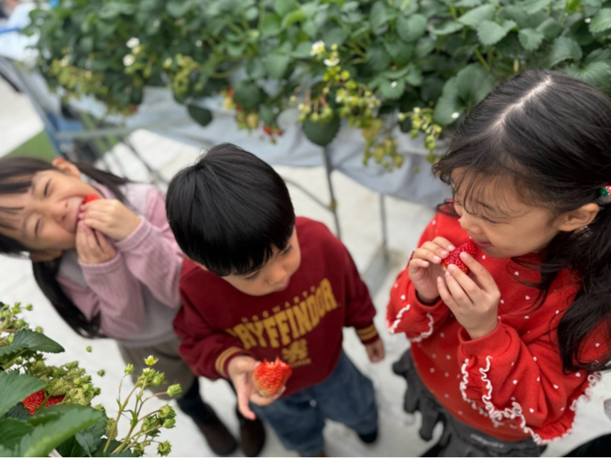 �_�x���͉Ƒ��Łg���������`���h�IRedJewelFarm�̂��������֏o�����悤�^