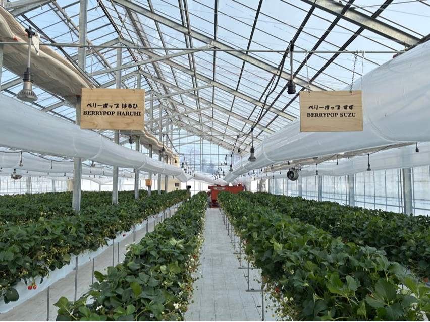 �_�Ǝ��̊�����V�X�e���ɂ��A�k�C���̓~�ł���������肪�̌��ł��܂��I�^