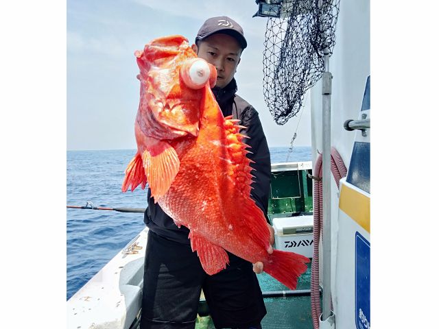 深海釣り アコウ(メヌケ)