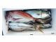 真鯛・青物釣り