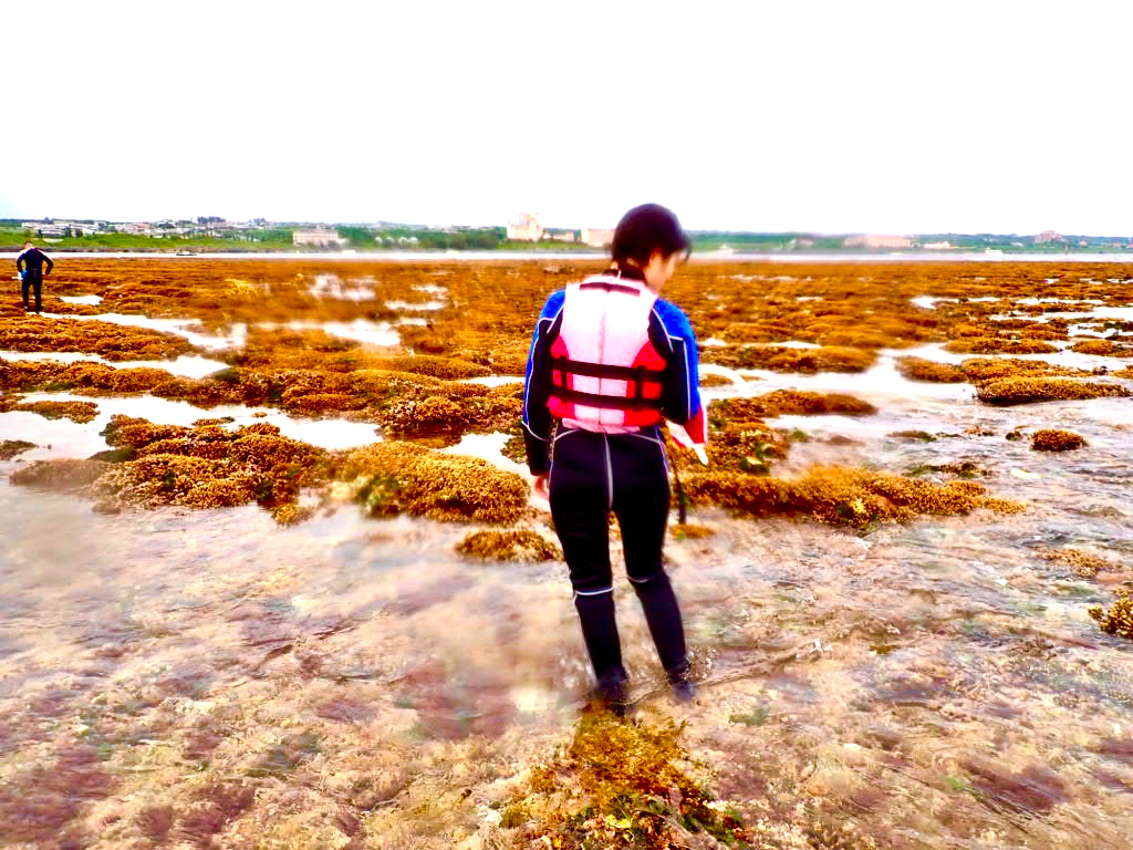 干潮時間帯