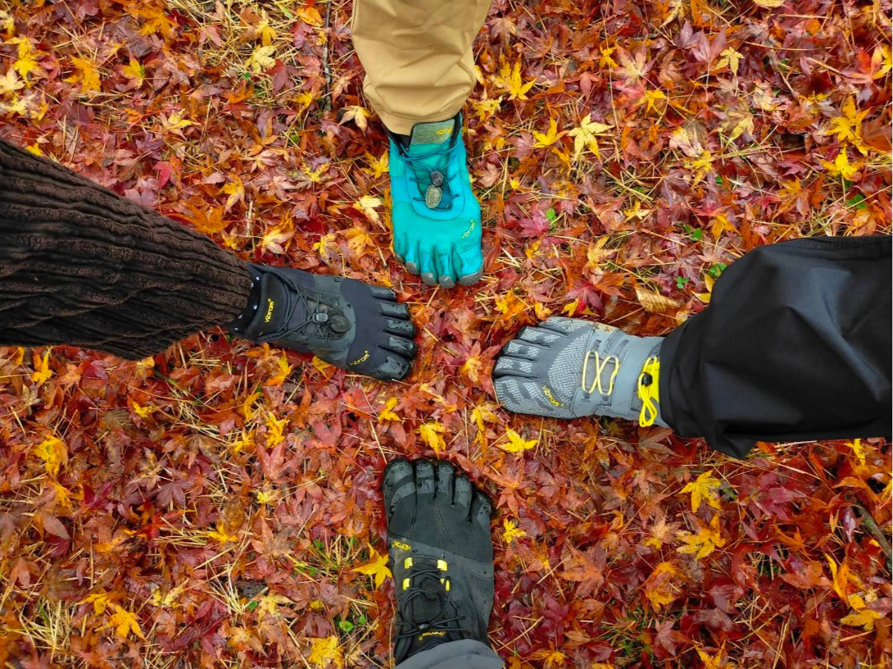 ₷CŎQĂI킭ガJtFł͌ܖ{wV[YXXĂ܂B킭ガJtFɂĔ̔Ă܂I