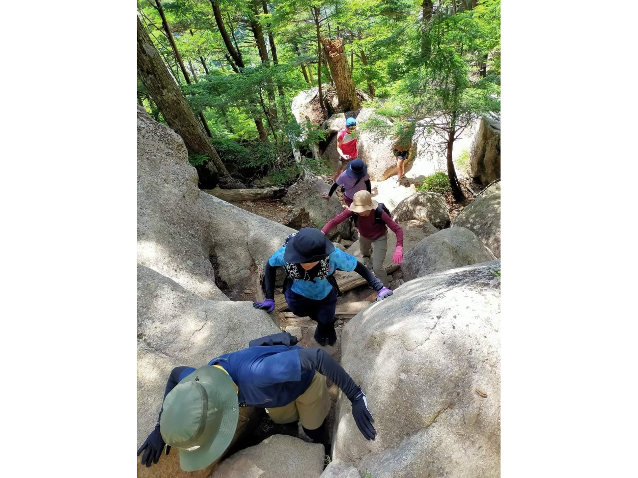 WĊo邱ƂŁAg̔\͂AbvIႳL[vɌq܂B