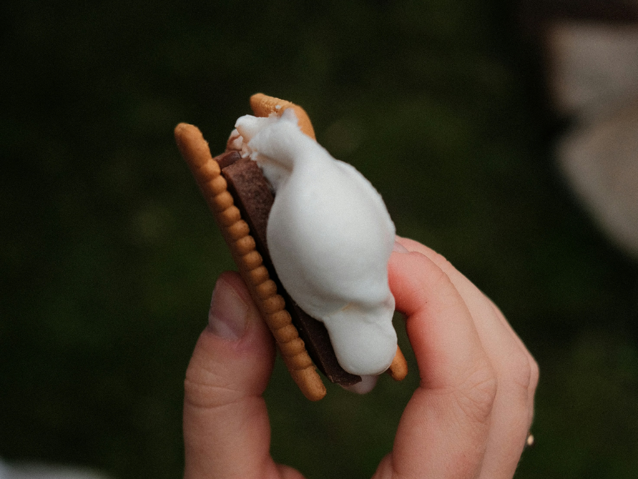 �Ó}�K���I�I���߂΍ō��I