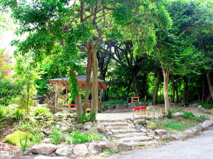 �X�ї�����