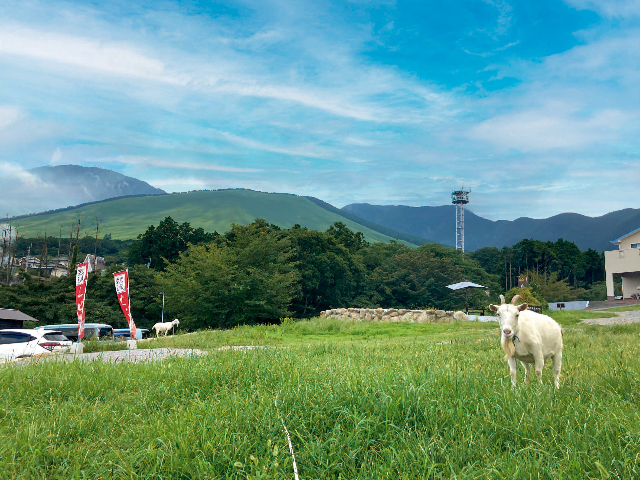 �~�n���Ƀ��M����1�C���܂��B�T���Ă݂ĂˁI