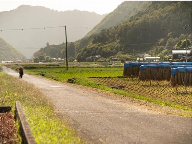 のどかな風景を堪能