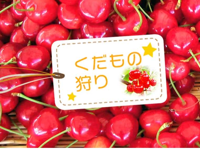 40�i�ڈȏ�̃T�N�����{������܂��I�����ɂ���ĐH�ׂ���i�킪�ς��̂Ń`�F�b�N���Ă��������ˁ�