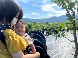 茨城県石岡にあります「岡野ファーム」です。無農薬のブルーベリーなので安心♪甘酸っぱいブルーベリーが食べ放題!