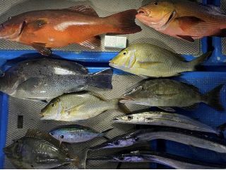 糸満発 手ぶらで船釣り 流し釣り 4時間チャーター 釣った魚は調理もok 美食テラス フィッシング マリンレジャー じゃらん遊び体験 糸満発 手ぶらで船釣り 流し釣り 4時間チャーター 釣った魚は調理もok 美食テラス フィッシング マリンレジャー じゃらん遊び体験