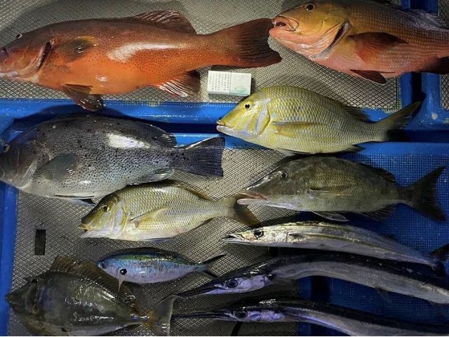 糸満発 手ぶらで船釣り 流し釣り 9時間チャーター 釣った魚は調理もok 美食テラス フィッシング マリンレジャー じゃらん遊び体験 糸満発 手ぶらで船釣り 流し釣り 9時間チャーター 釣った魚は調理もok 美食テラス フィッシング マリンレジャー じゃらん遊び体験
